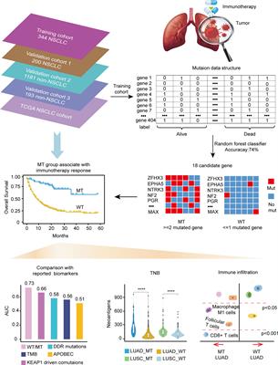 Development and validation of a mutation-based model to predict immunotherapeutic efficacy in NSCLC
